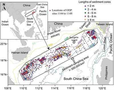 Vertical distribution of pH in the top ~10 m of deep-ocean sediments: Analysis of a unique dataset